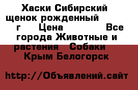 Хаски Сибирский (щенок рожденный 20.03.2017г.) › Цена ­ 25 000 - Все города Животные и растения » Собаки   . Крым,Белогорск